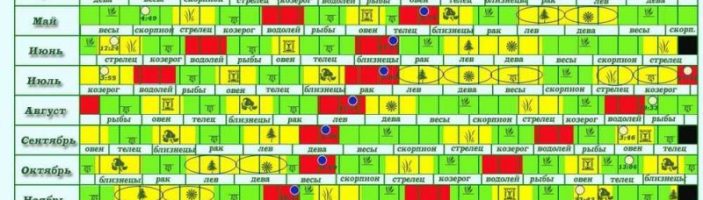 Лунный посевной календарь садовода и огородника на
