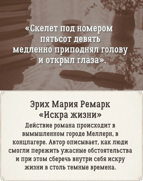 10 романов с интригующим началом