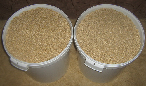 12 лучших наполнителей для кошачьего туалета — народный рейтинг