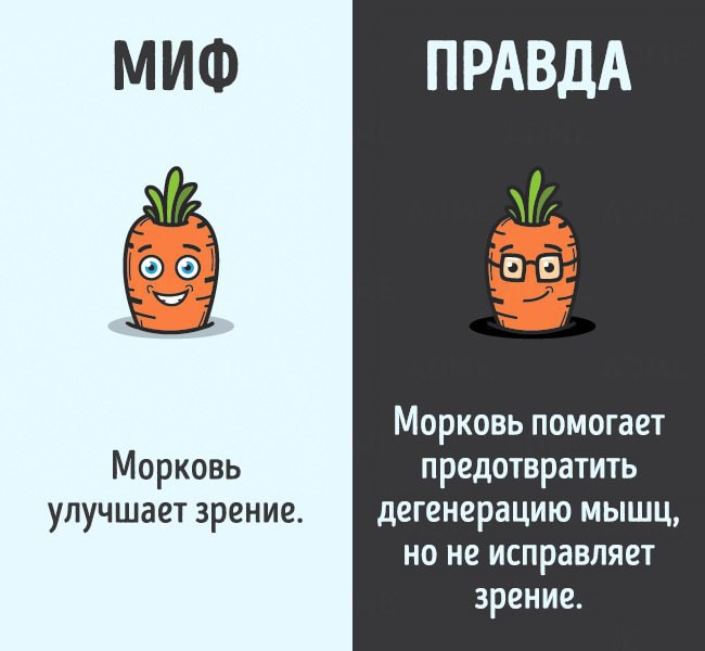 12 мифов о теле человека