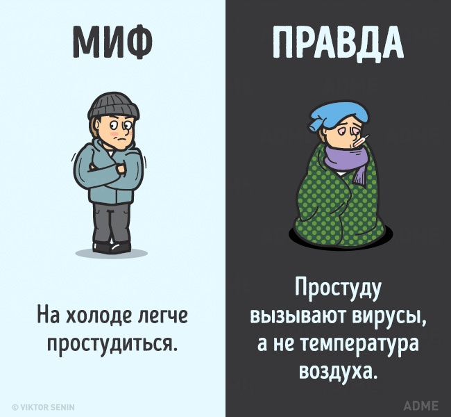 12 мифов о теле человека
