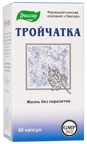 5 лучших морожениц — народный рейтинг