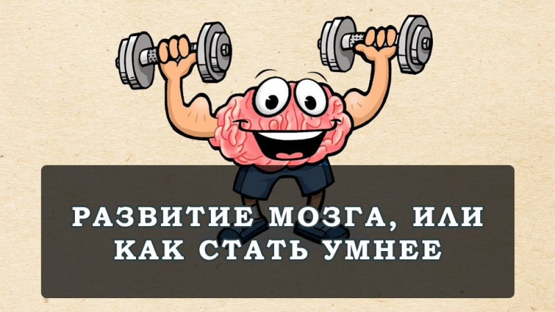 5 привычек, которые сохранят ваш мозг молодым