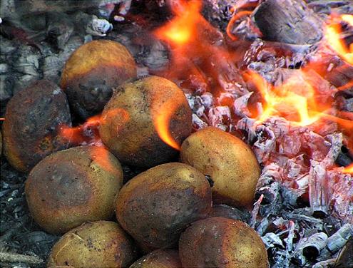 5 самых вкусных способов приготовления картошки на костре