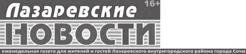 9 лучших автохолодильников — народный рейтинг