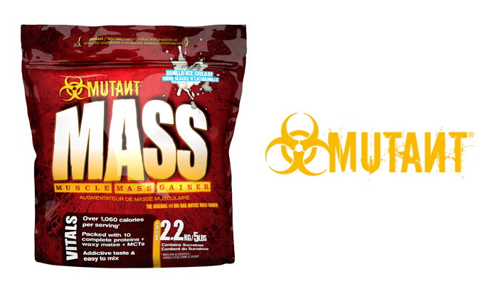 9 лучших гейнеров — народный рейтинг