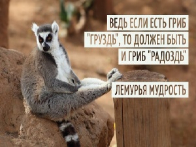 Английской мудрости пост