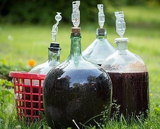 Брожение вина замедлилось, что нужно предпринять: советы опытных виноделов