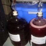 Брожение вина замедлилось, что нужно предпринять: советы опытных виноделов
