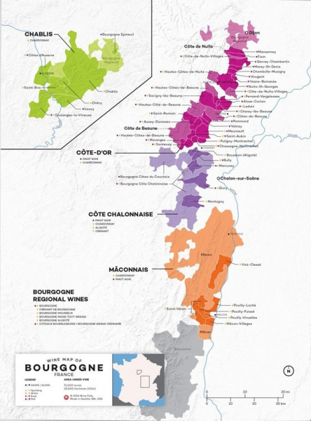 Бургундские вина: разнообразие сортов и стилей напитка