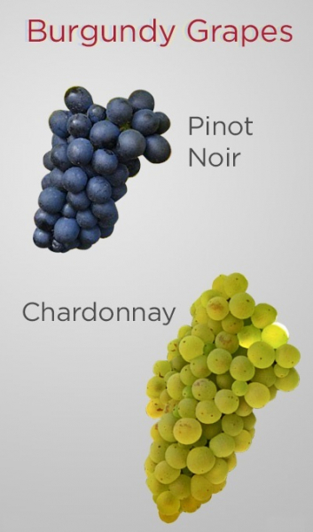 Бургундские вина: разнообразие сортов и стилей напитка