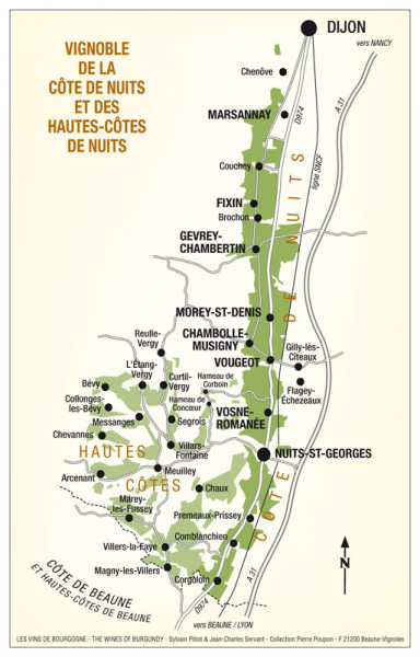 Бургундские вина: разнообразие сортов и стилей напитка