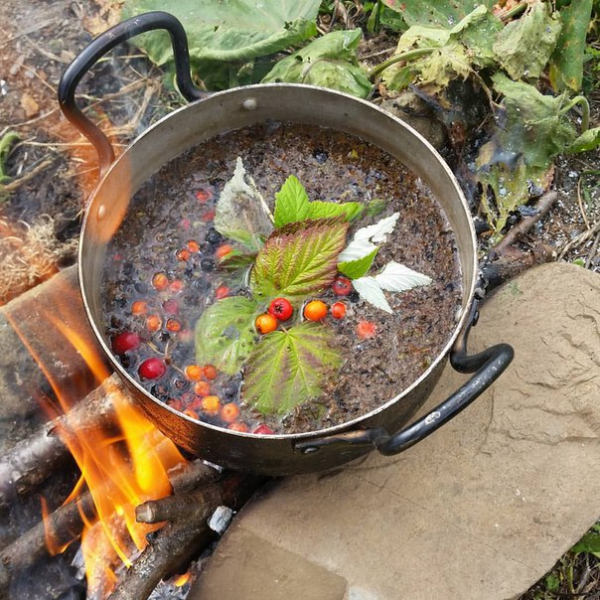 Чай в туристическом походе — виды лучших естественных добавок