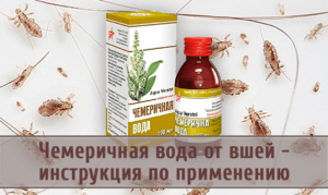 Чемеричная вода от вшей и гнид способ применения