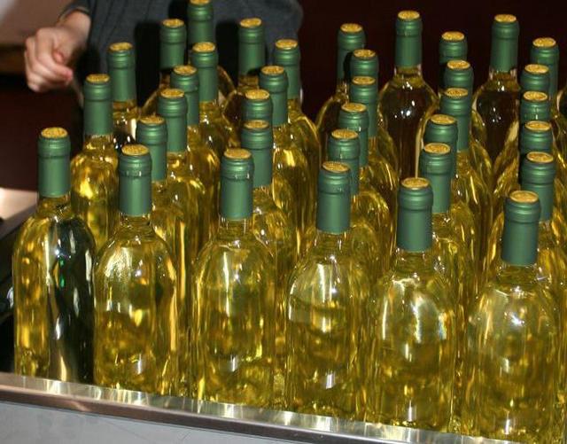 Чилийские вина: особенности, классификация, популярные сорта
