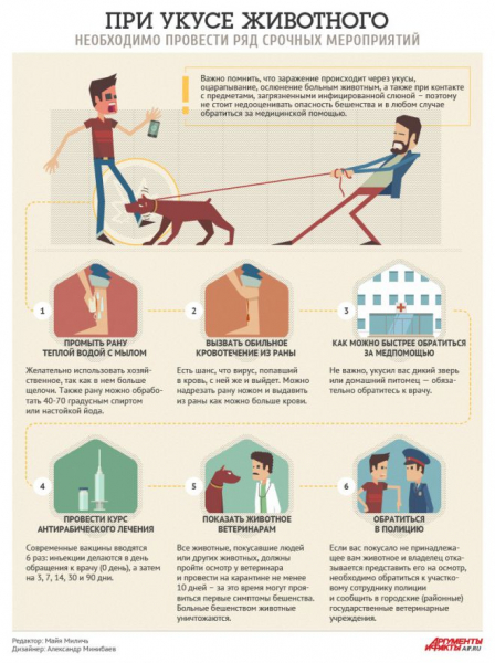Что делать, если укусила собака?