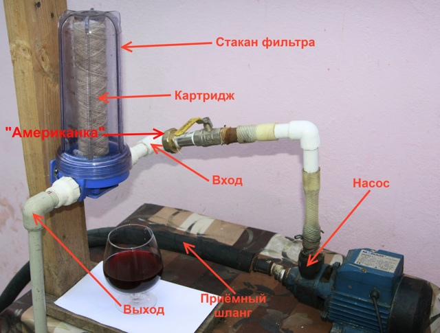 Что делать при появлении плесени на вине: простые лайфхаки