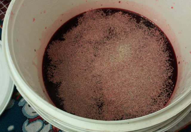 Что делать при появлении плесени на вине: простые лайфхаки