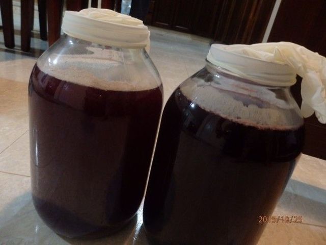 Что делать при появлении плесени на вине: простые лайфхаки