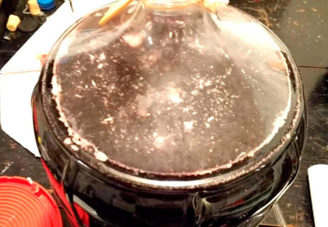 Что делать при появлении плесени на вине: простые лайфхаки