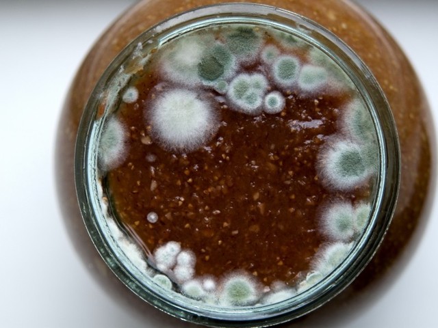 Что делать при появлении плесени на вине: простые лайфхаки