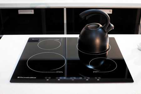 Что лучше и экономичнее: газовая плита или индукционная