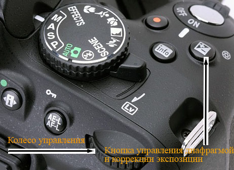 Что такое экспозиция в фотоаппарате: основы настройки и коррекции для начинающих