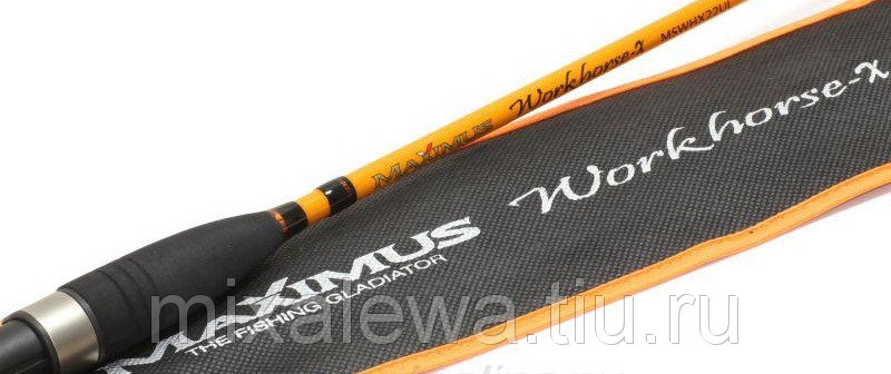 Cпиннинги maximus workhorse