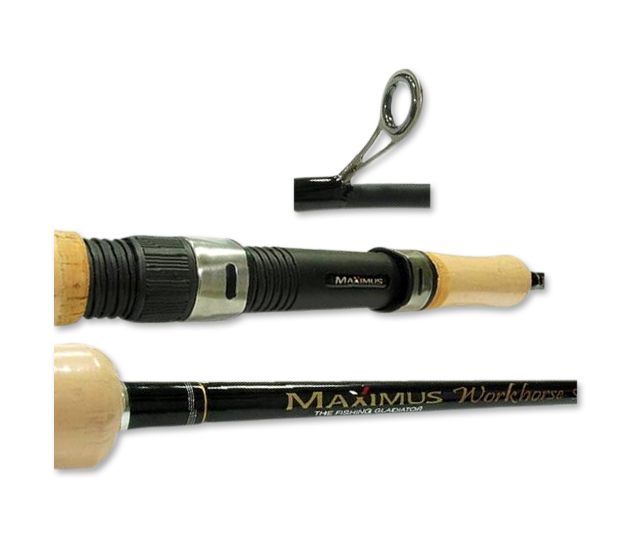 Cпиннинги maximus workhorse