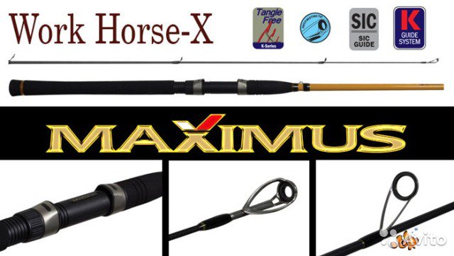 Cпиннинги maximus workhorse