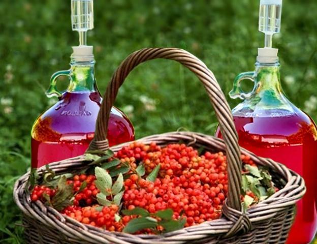 Домашнее вино из калины: очень необычные, но вкусные рецепты алкоголя