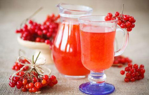 Домашнее вино из калины: очень необычные, но вкусные рецепты алкоголя