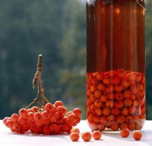 Домашнее вино из калины: очень необычные, но вкусные рецепты алкоголя
