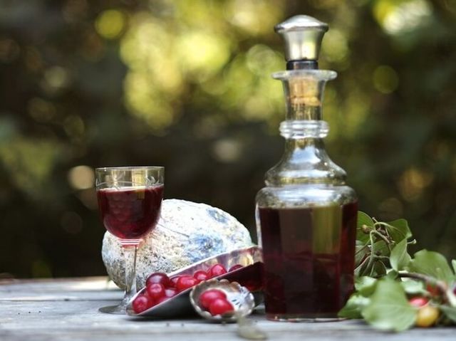 Домашнее вино из кизила: простой рецепт и технология приготовления вкусного напитка