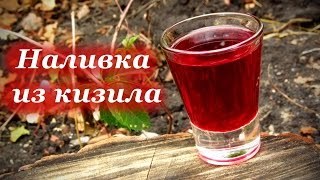 Домашнее вино из кизила: простой рецепт и технология приготовления вкусного напитка