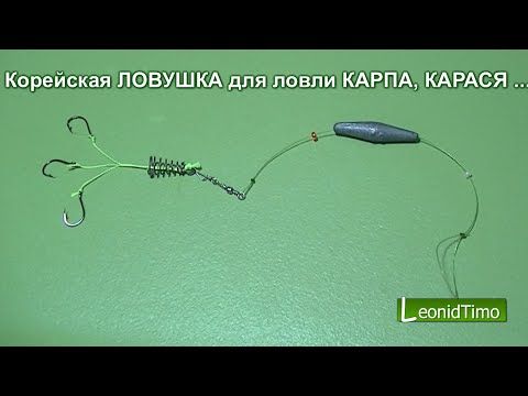 Донная снасть для ловли карася
