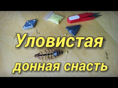 Донные снасти для ловли карпа