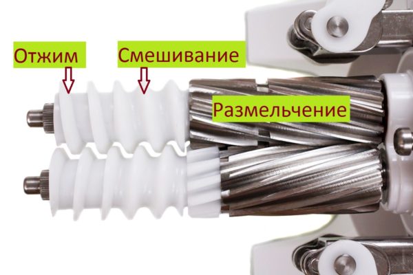 Двухшнековая соковыжималка: устройство, функции, какую модель купить