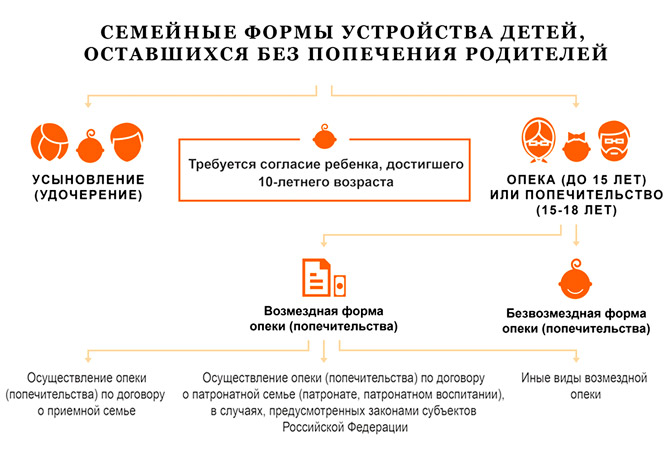 Единовременное пособие при передаче ребенка на воспитание в семью: усыновление, установление опеки (попечительства) или по договору о приемной семье