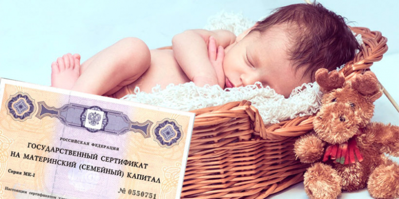 Ежемесячные выплаты из материнского капитала в 2019 году наличными: свежие новости