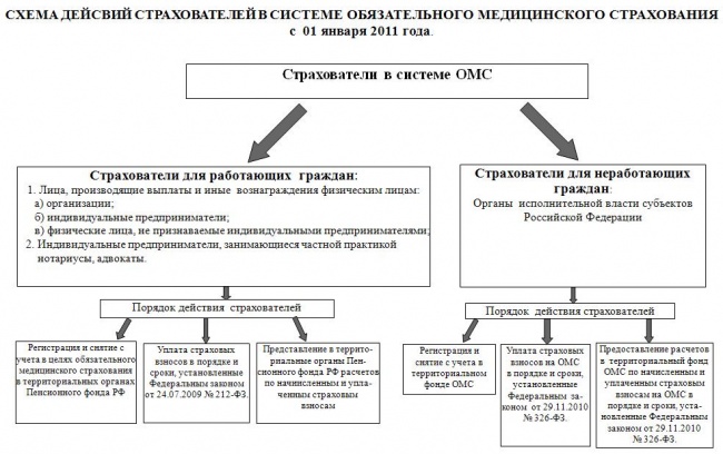 Федеральный и территориальные фонды обязательного медицинского страхования