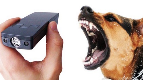 Характеристики и особенности лучших отпугивателей собак — народный рейтинг