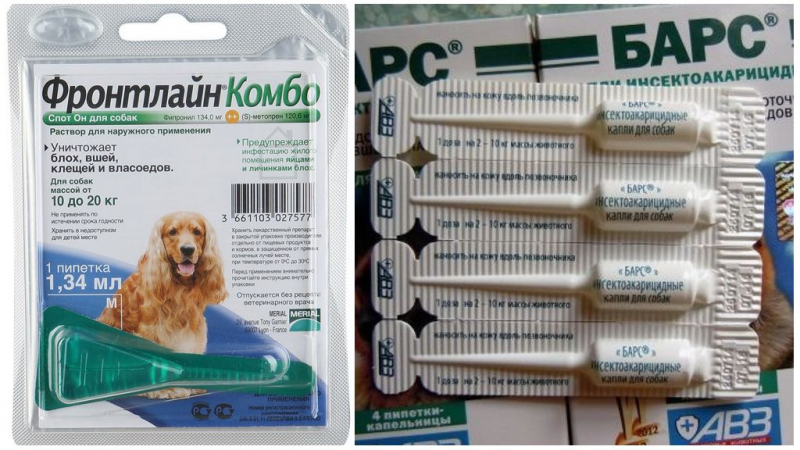 Характеристики и особенности лучших отпугивателей собак — народный рейтинг