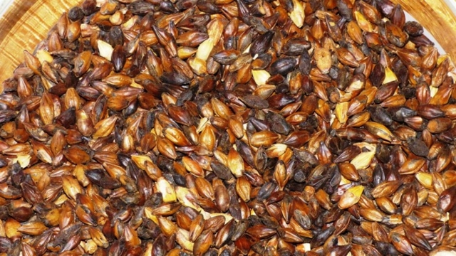 Хлебное вино (полугар) – виды и этапы приготовления старинного напитка