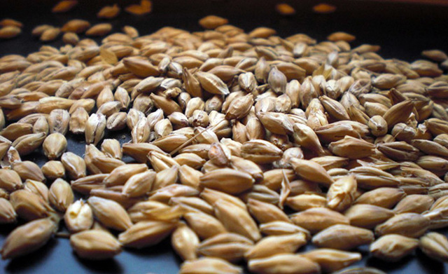 Хлебное вино (полугар) – виды и этапы приготовления старинного напитка