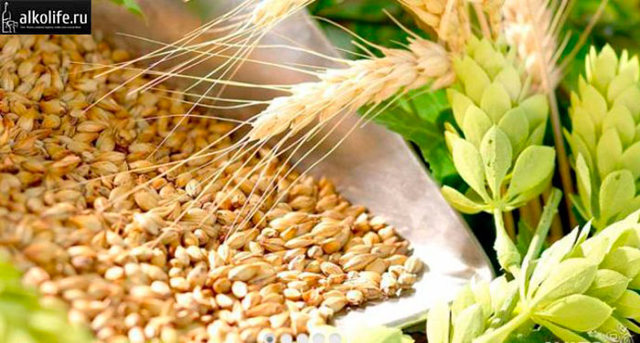 Хлебное вино (полугар) – виды и этапы приготовления старинного напитка