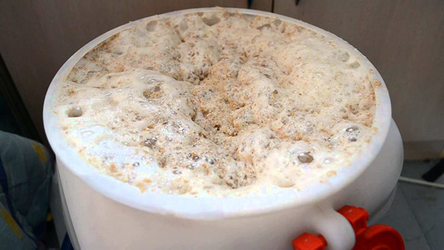 Хлебное вино (полугар) – виды и этапы приготовления старинного напитка