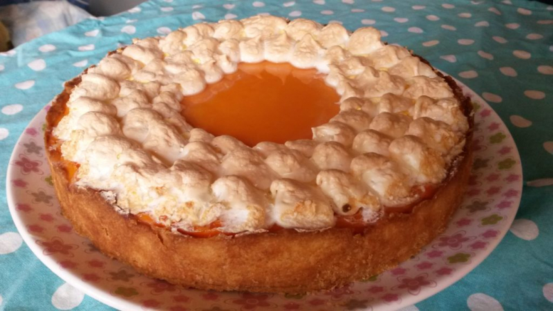 Идеальный десерт для пикника: зефир, поджаренный на костре