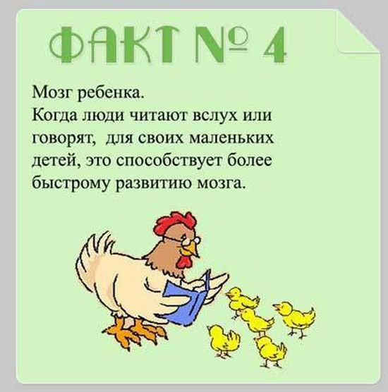Интересные факты для детей