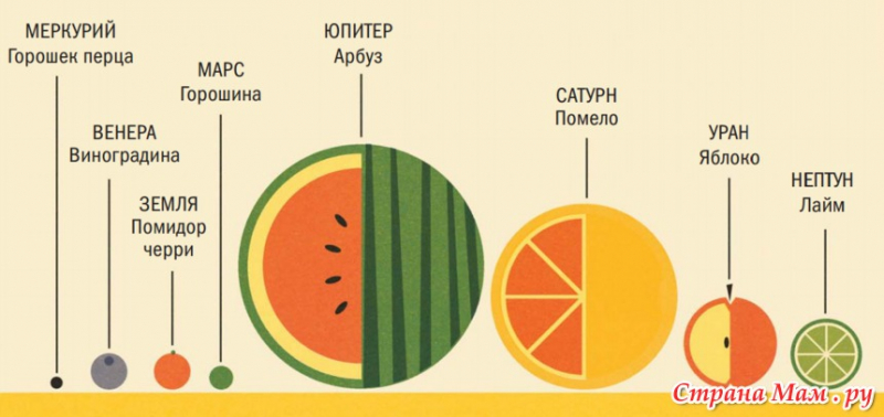 Интересные факты для детей